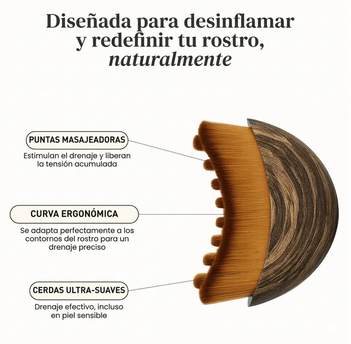 Cepillo Para Drenaje Linfatico